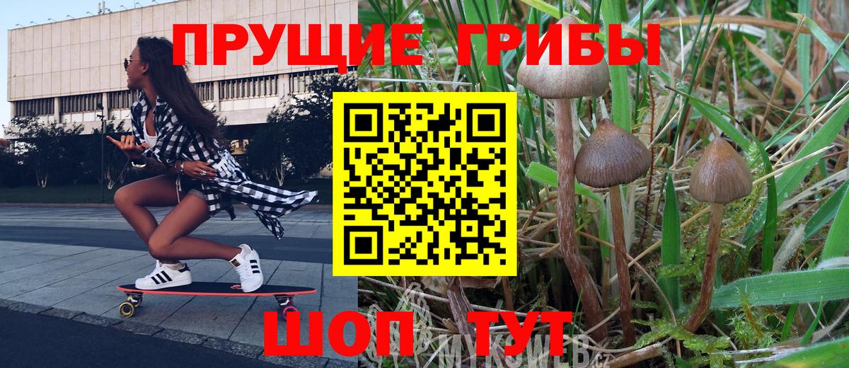 Псилоцибиновые грибы мицелий Дмитров