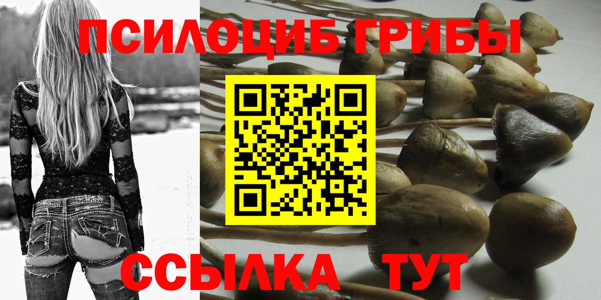 Псилоцибиновые грибы мицелий  Вход с VPN  Дмитров 