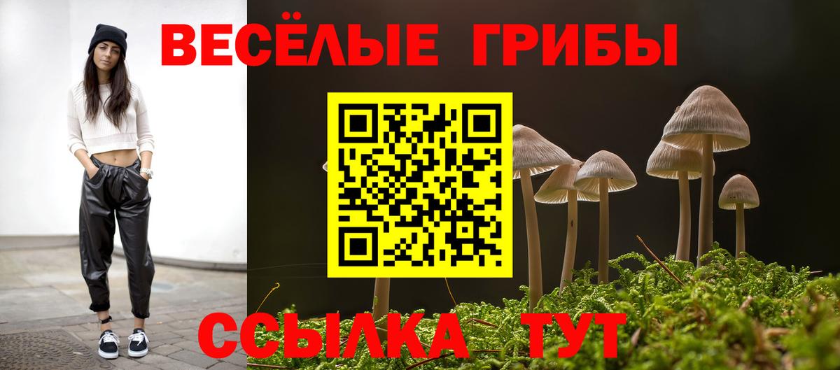  Кокаин Дмитров